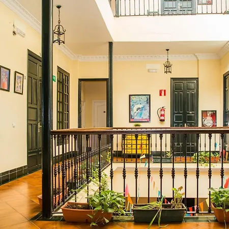 Onefam Centro-2